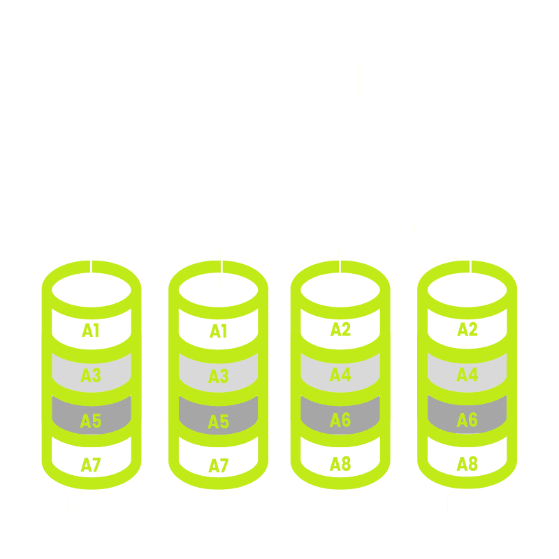 VPS en RAID 10